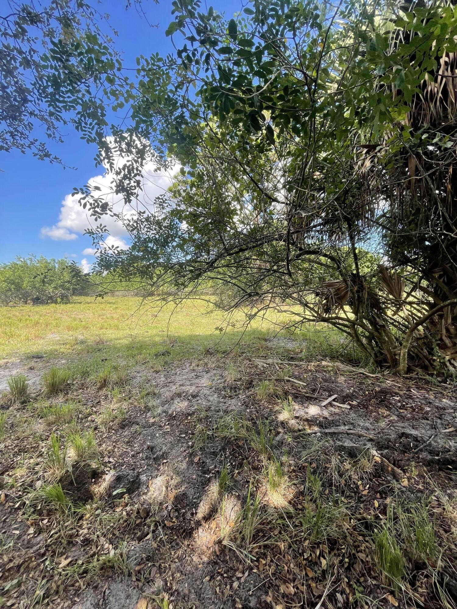 Tbd Antoinette Road Loxahatchee, FL 33470 - Photo 21 of 25 23C17FA0-9698-4AC8-9DFB-2564251213ED