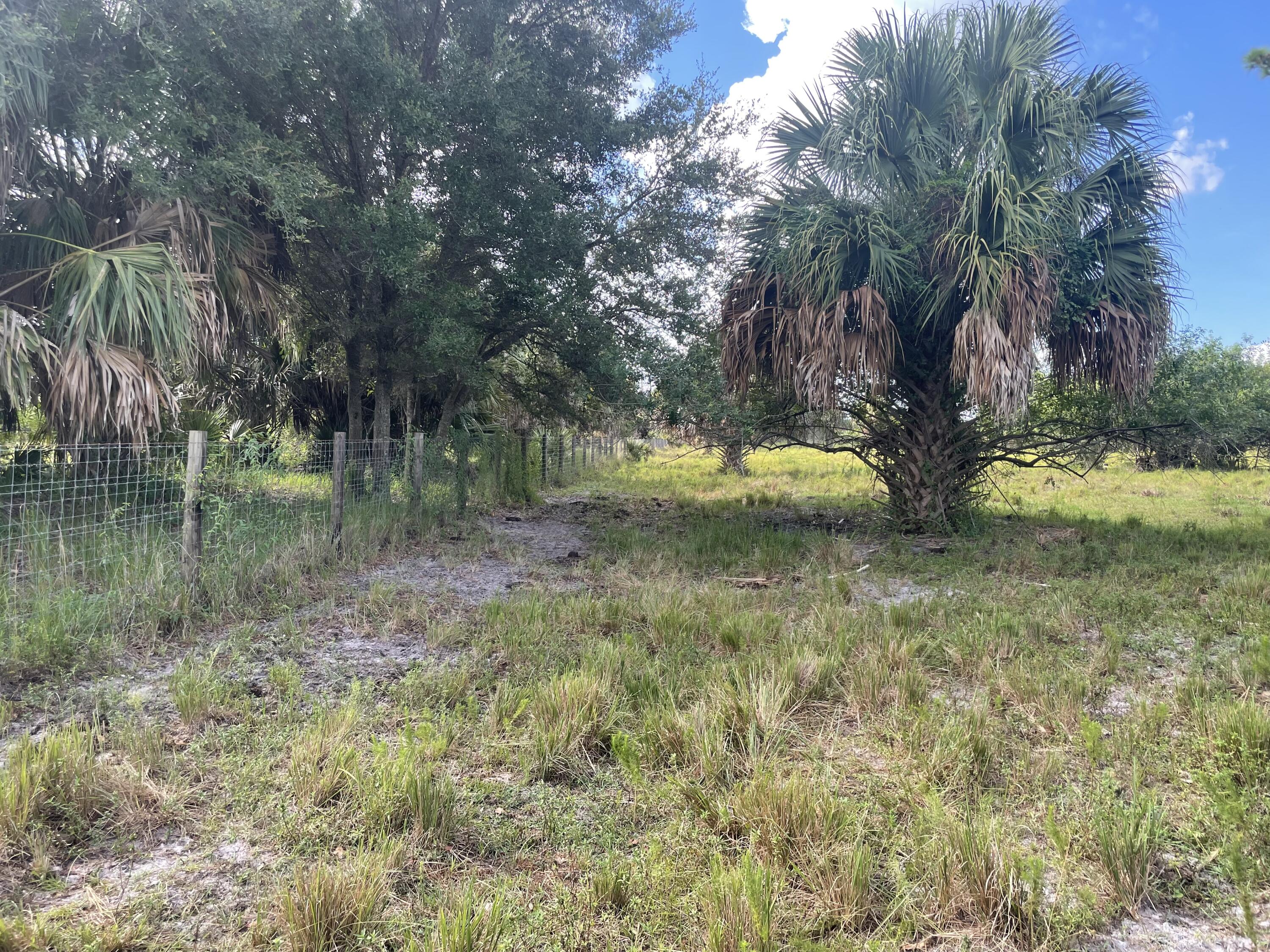 Tbd Antoinette Road Loxahatchee, FL 33470 - Photo 23 of 25 64E5FEC1-D7FB-4BE9-84AC-AB3AB8384F6C