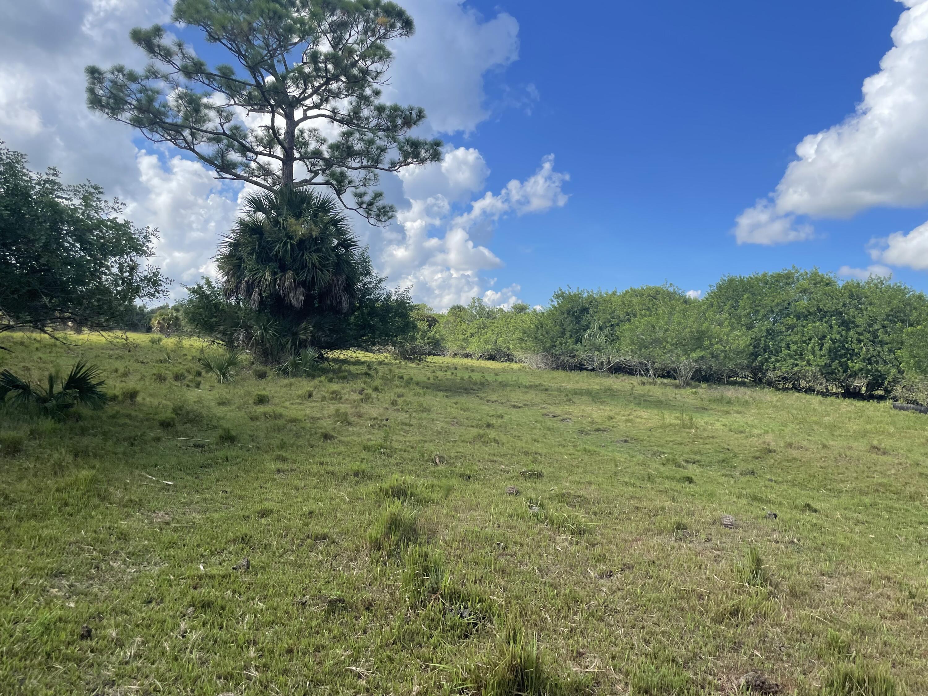 Tbd Antoinette Road Loxahatchee, FL 33470 - Photo 24 of 25 C4109F6E-19C5-4355-A7A3-1CBC105A6497