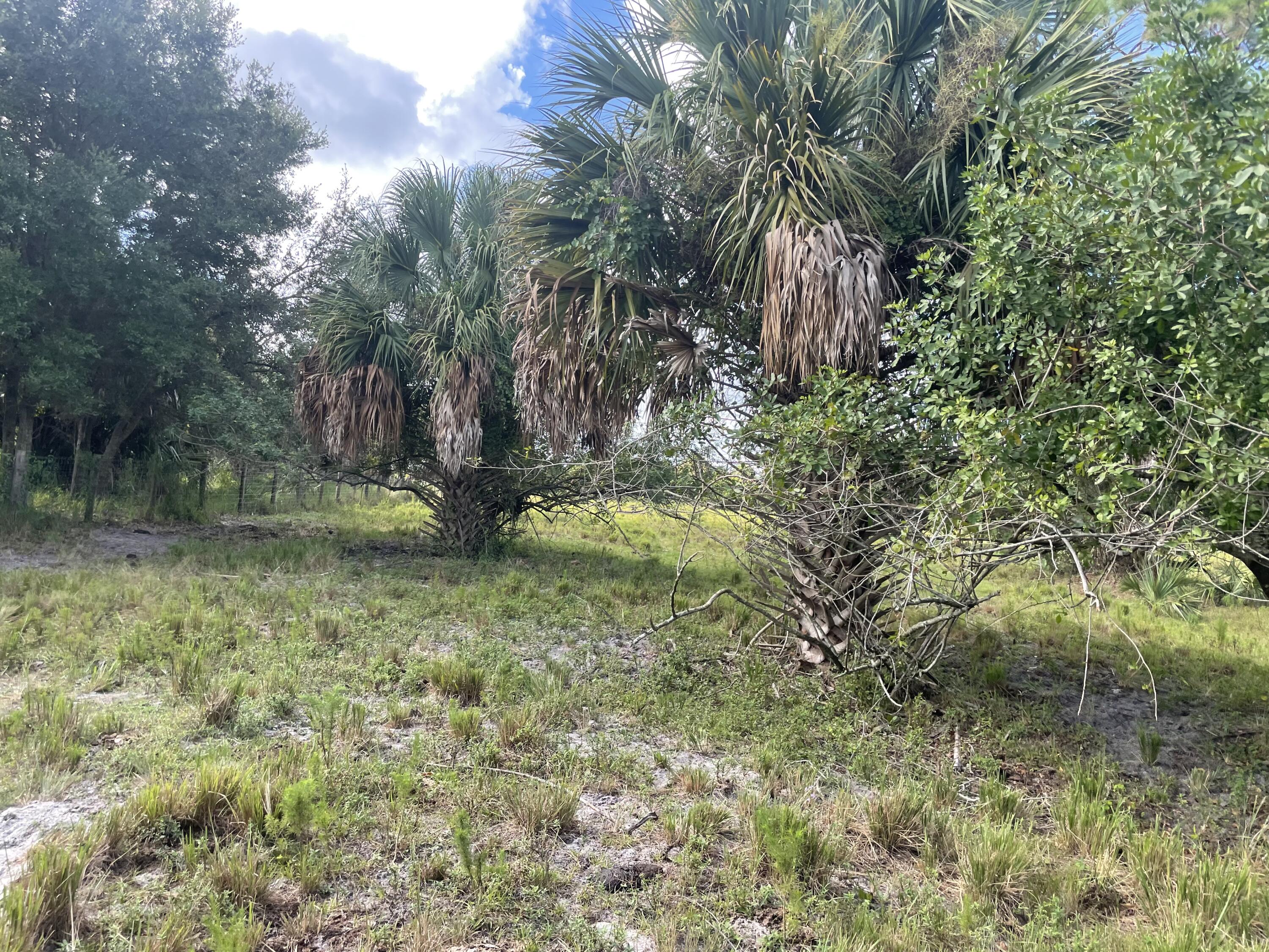Tbd Antoinette Road Loxahatchee, FL 33470 - Photo 25 of 25 136FC615-AC09-4979-B978-B1ABD96FE921