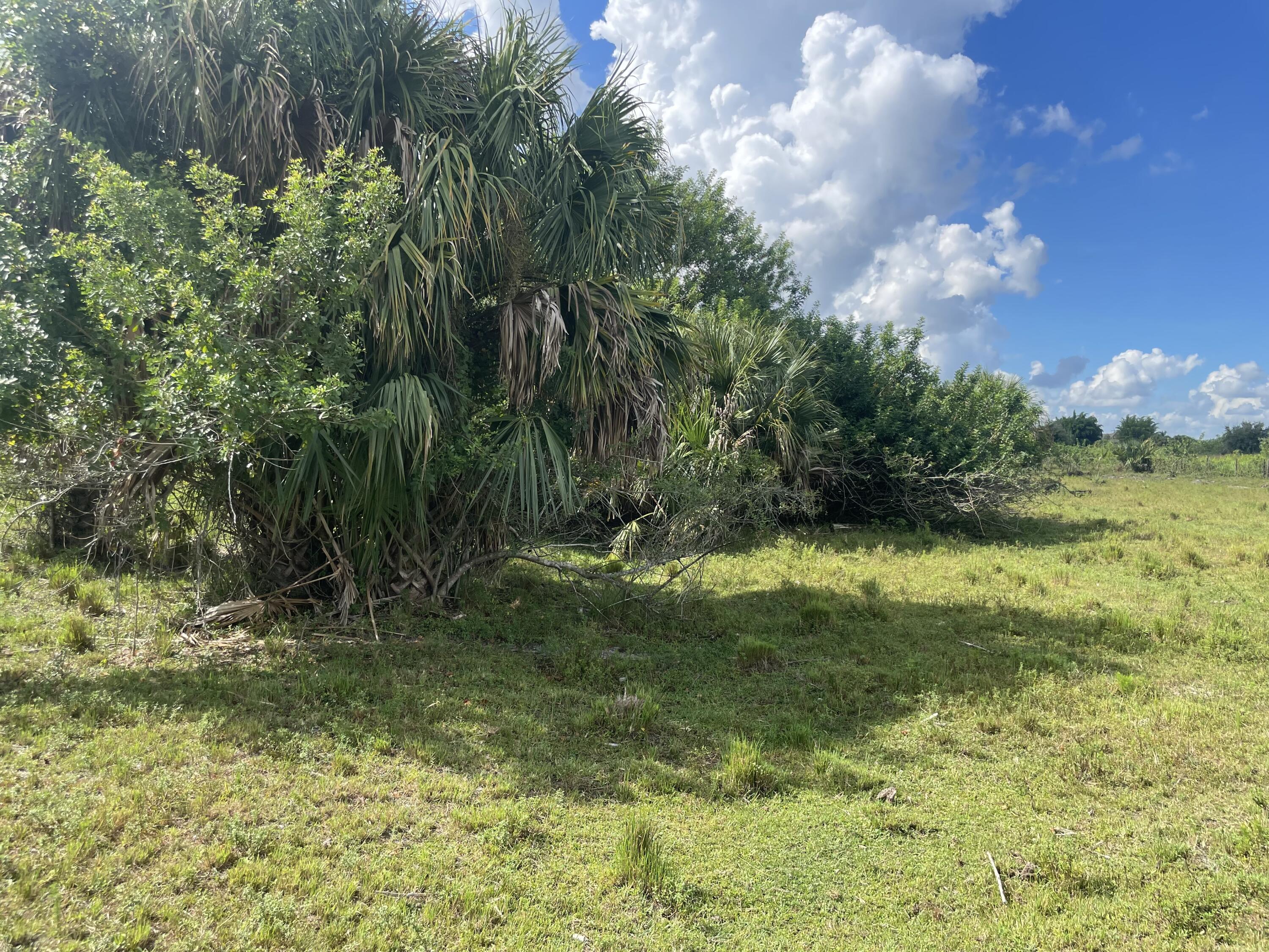 Tbd Antoinette Road Loxahatchee, FL 33470 - Photo 4 of 25 70C2CEAE-67EA-40EC-ABD5-934540BF608C