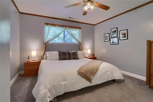 a bedroom with a bed and a couch