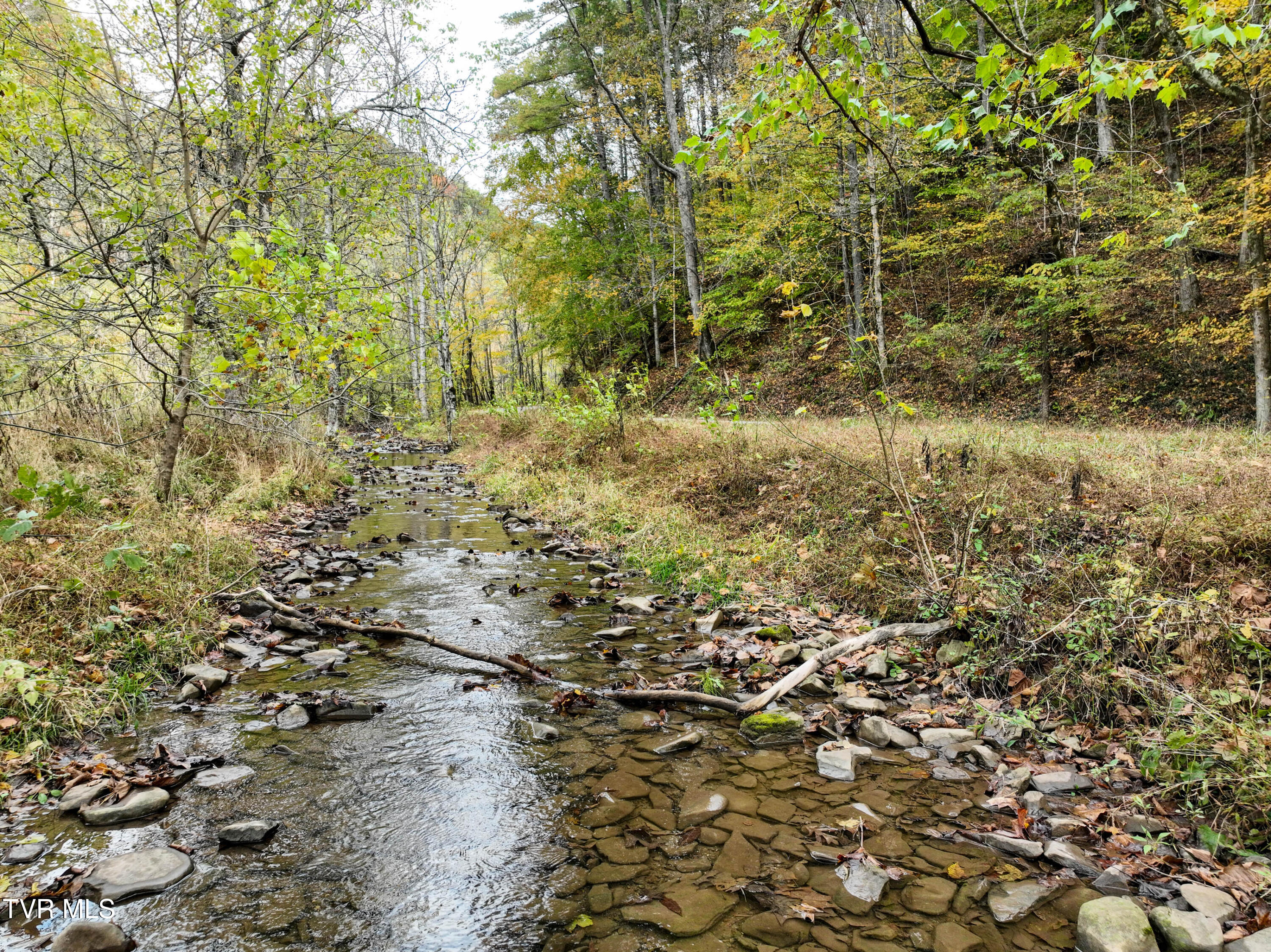 1199 Browders Chapel Road Hiltons, VA 24258 - Photo 12 of 24 1199 Browders Chapel Rd Drone DP-38