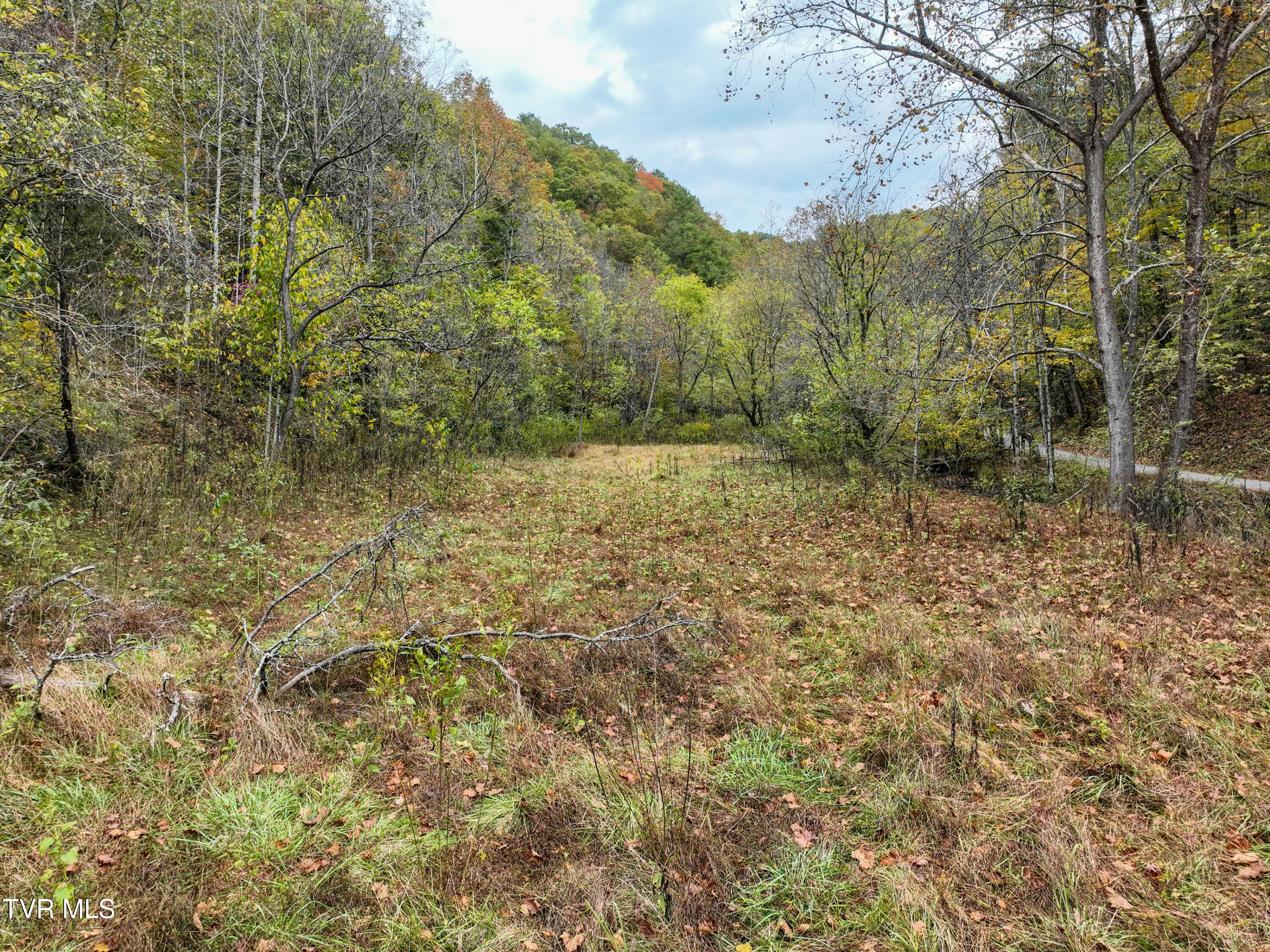 1199 Browders Chapel Road Hiltons, VA 24258 - Photo 4 of 24 1199 Browders Chapel Rd Drone DP-30