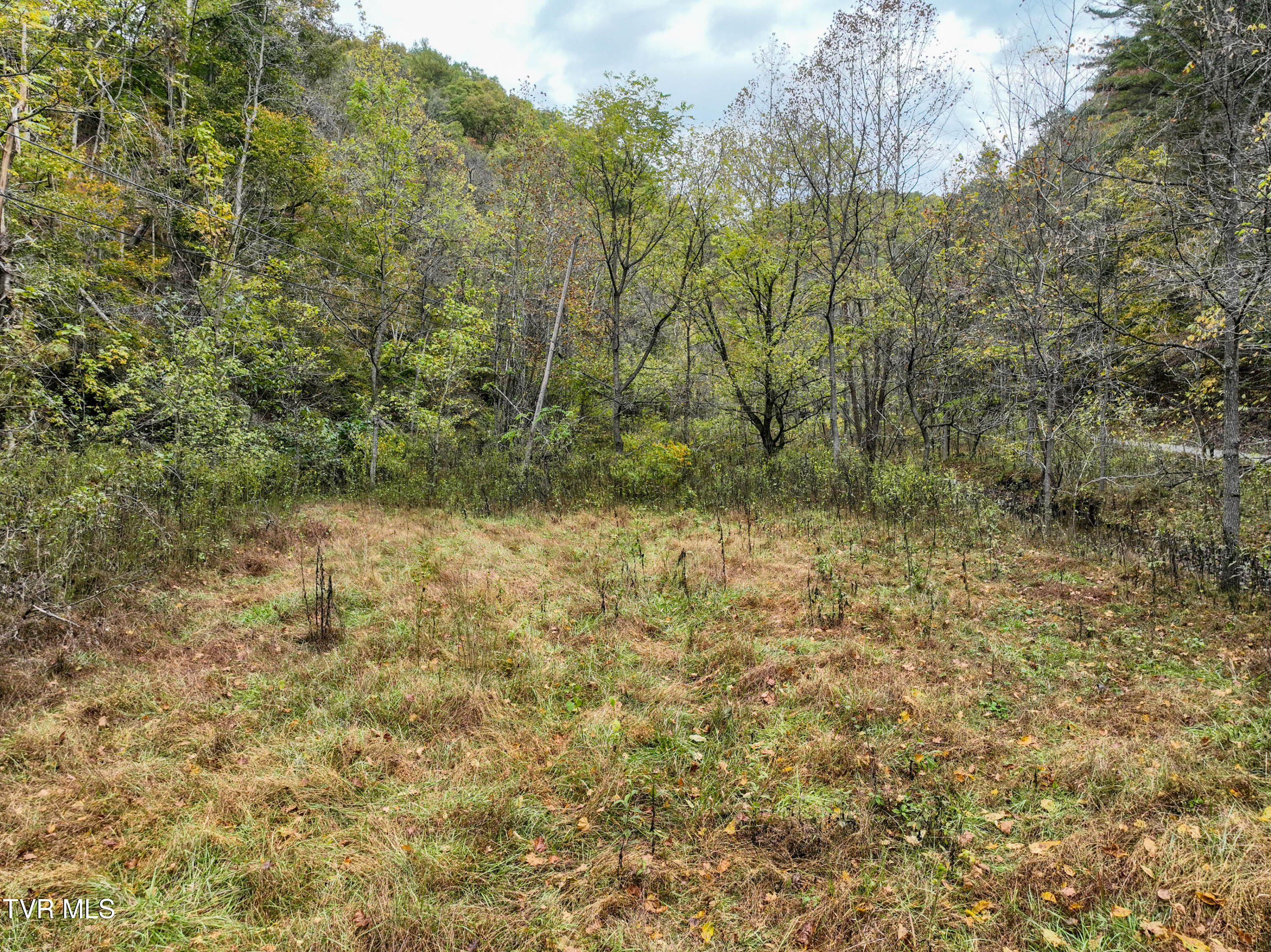 1199 Browders Chapel Road Hiltons, VA 24258 - Photo 5 of 24 1199 Browders Chapel Rd Drone DP-31