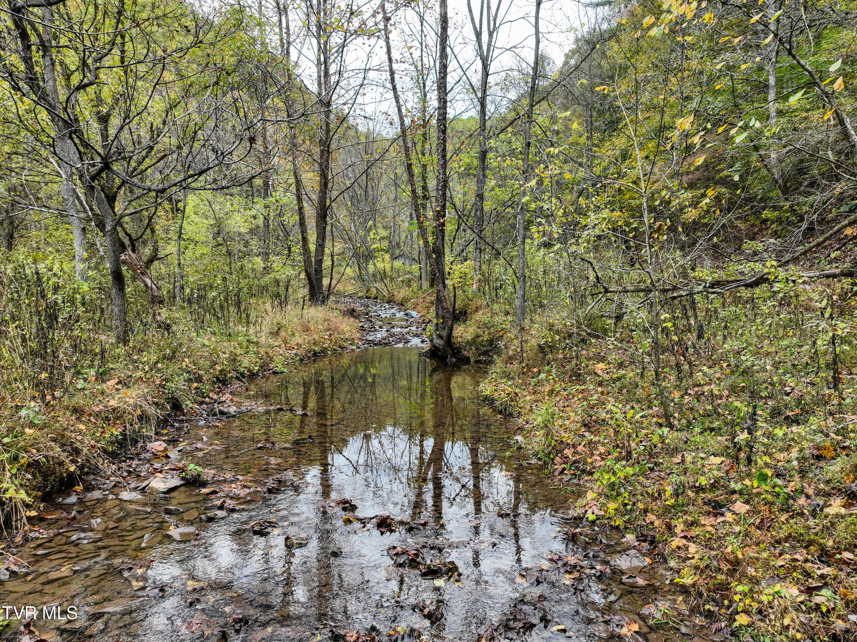 1199 Browders Chapel Road Hiltons, VA 24258 - Photo 6 of 24 1199 Browders Chapel Rd Drone DP-32