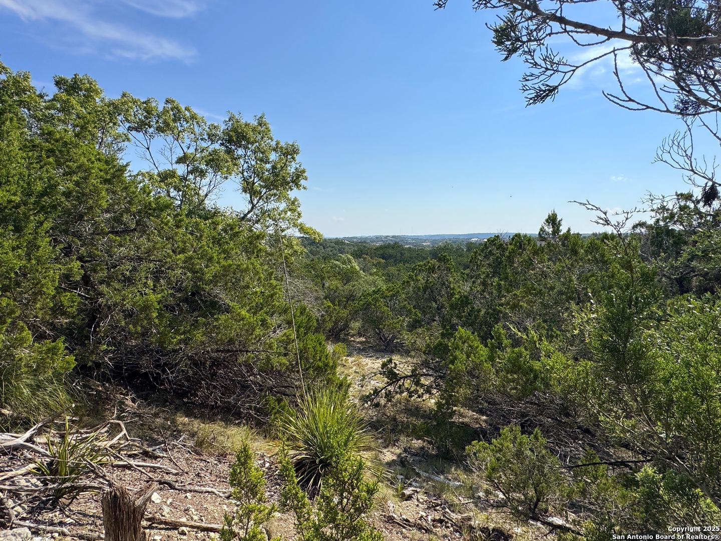 144 Jackson Canyon Lake, TX 78133 - Photo 7 of 17