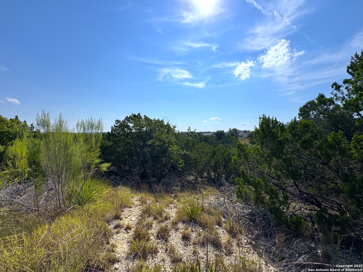 144 Jackson Canyon Lake, TX 78133 - Photo 8 of 17