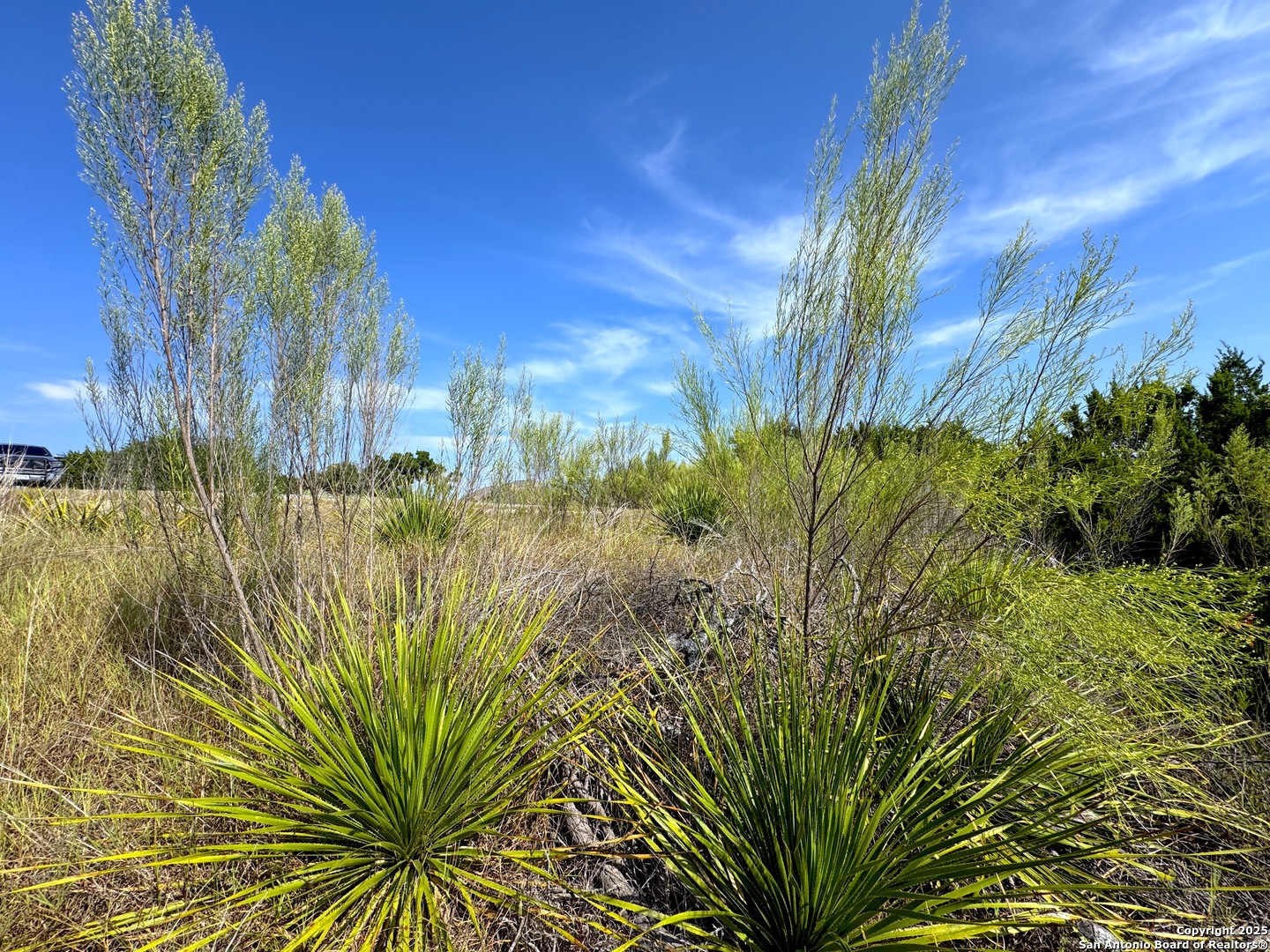 144 Jackson Canyon Lake, TX 78133 - Photo 10 of 17