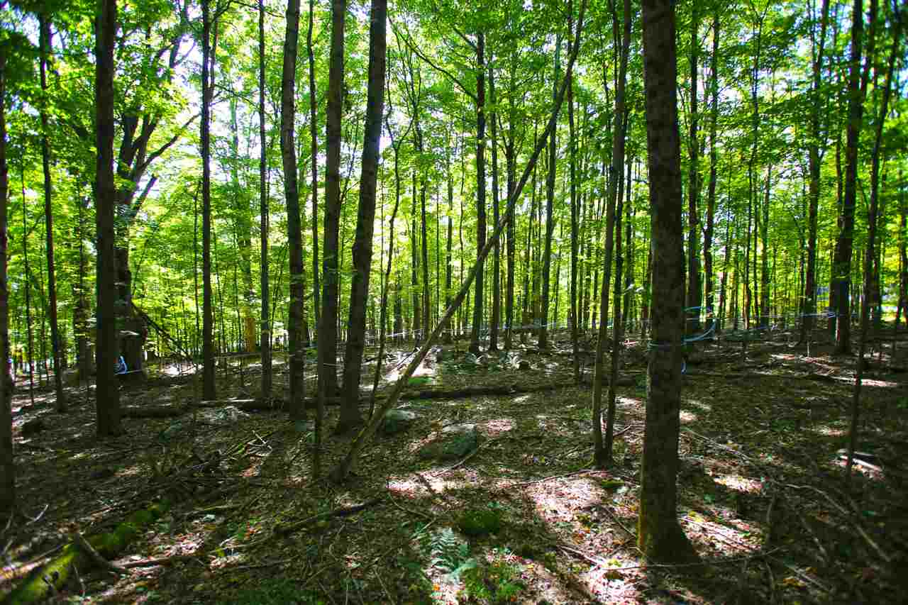 585 Blake Road Fairfax, VT 05454 - Photo 11 of 40 Gallery Image 11