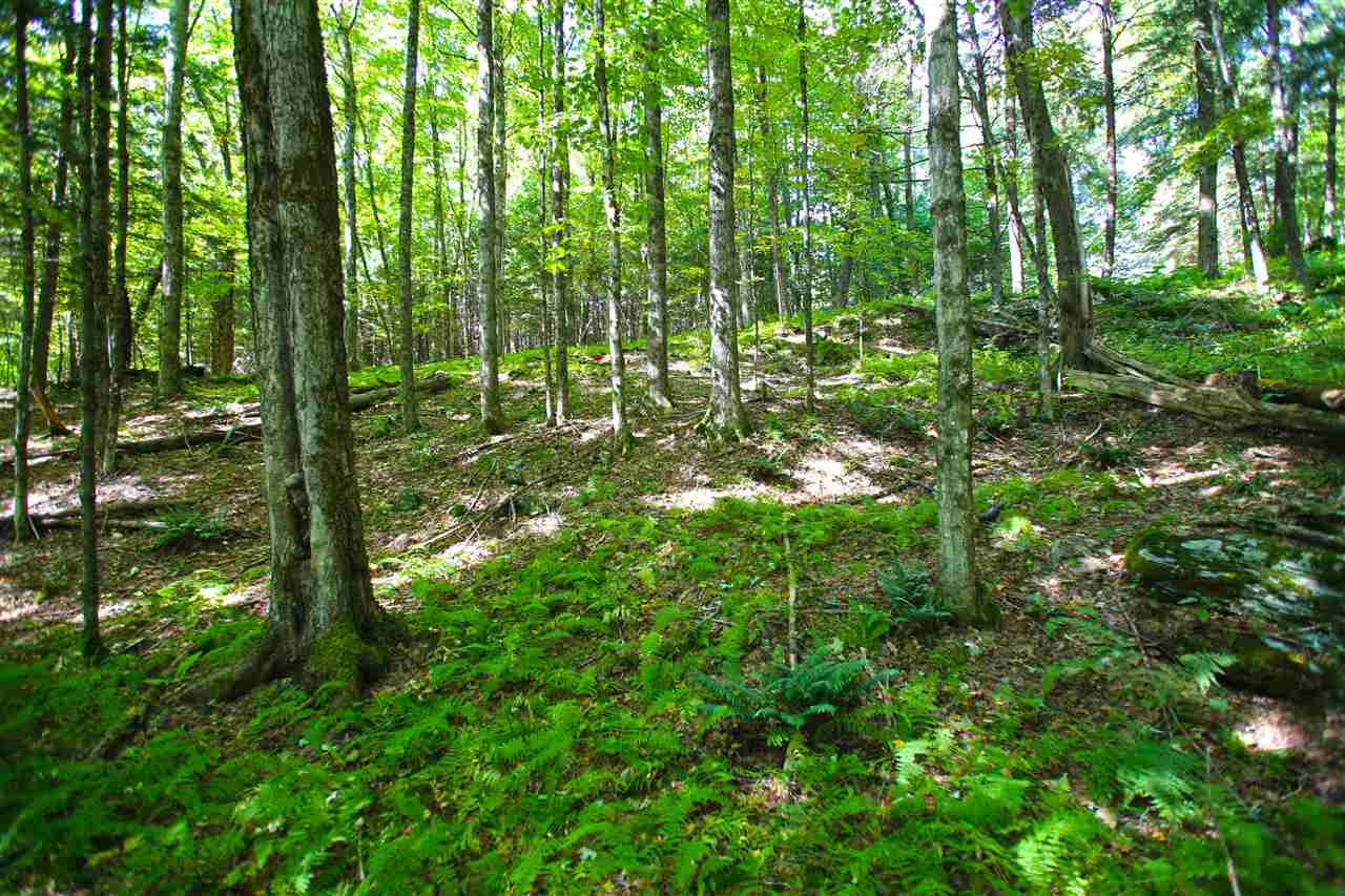 585 Blake Road Fairfax, VT 05454 - Photo 28 of 40 Gallery Image 28