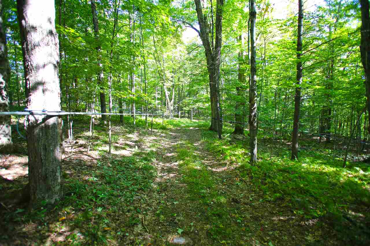 585 Blake Road Fairfax, VT 05454 - Photo 8 of 40 Gallery Image 8
