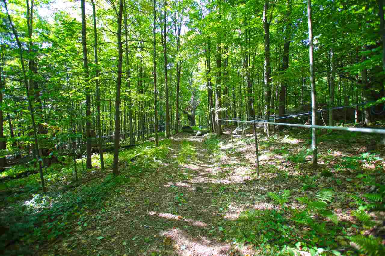 585 Blake Road Fairfax, VT 05454 - Photo 9 of 40 Gallery Image 9
