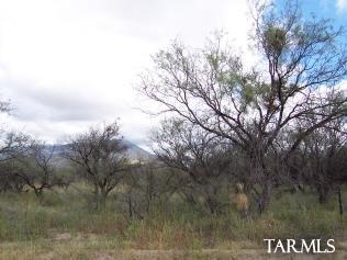 13500 East Bell Road Benson, AZ 85602 - Photo 2 of 5 Gallery Image 2