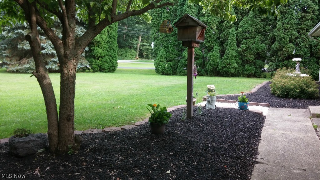 6975 Reed Road Conneaut, OH 44030 - Photo 3 of 25 More Landscaping in front of home
