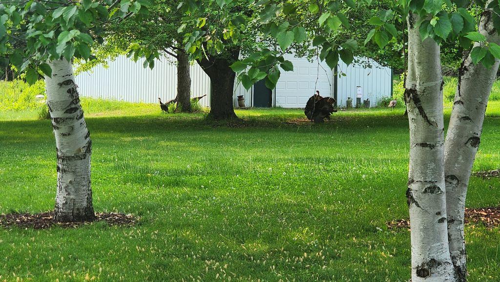 14890 Country Road Rogers, MN 55374 - Photo 36 of 46