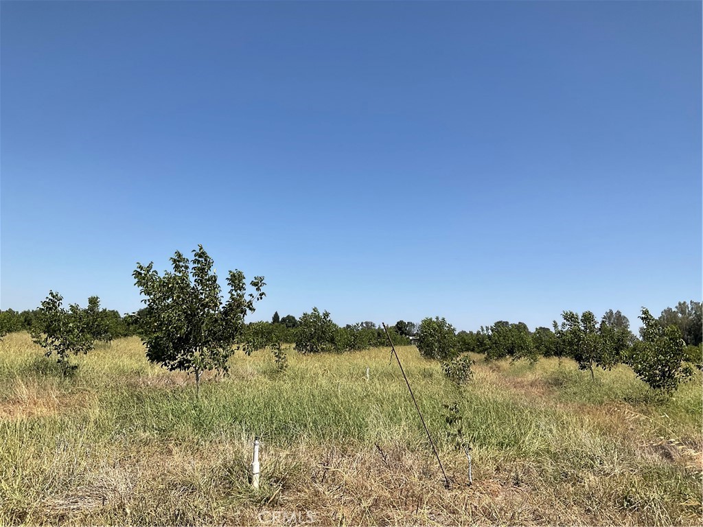 0 Richfield Road Corning, CA 96021 - Photo 33 of 33 10 ACRES