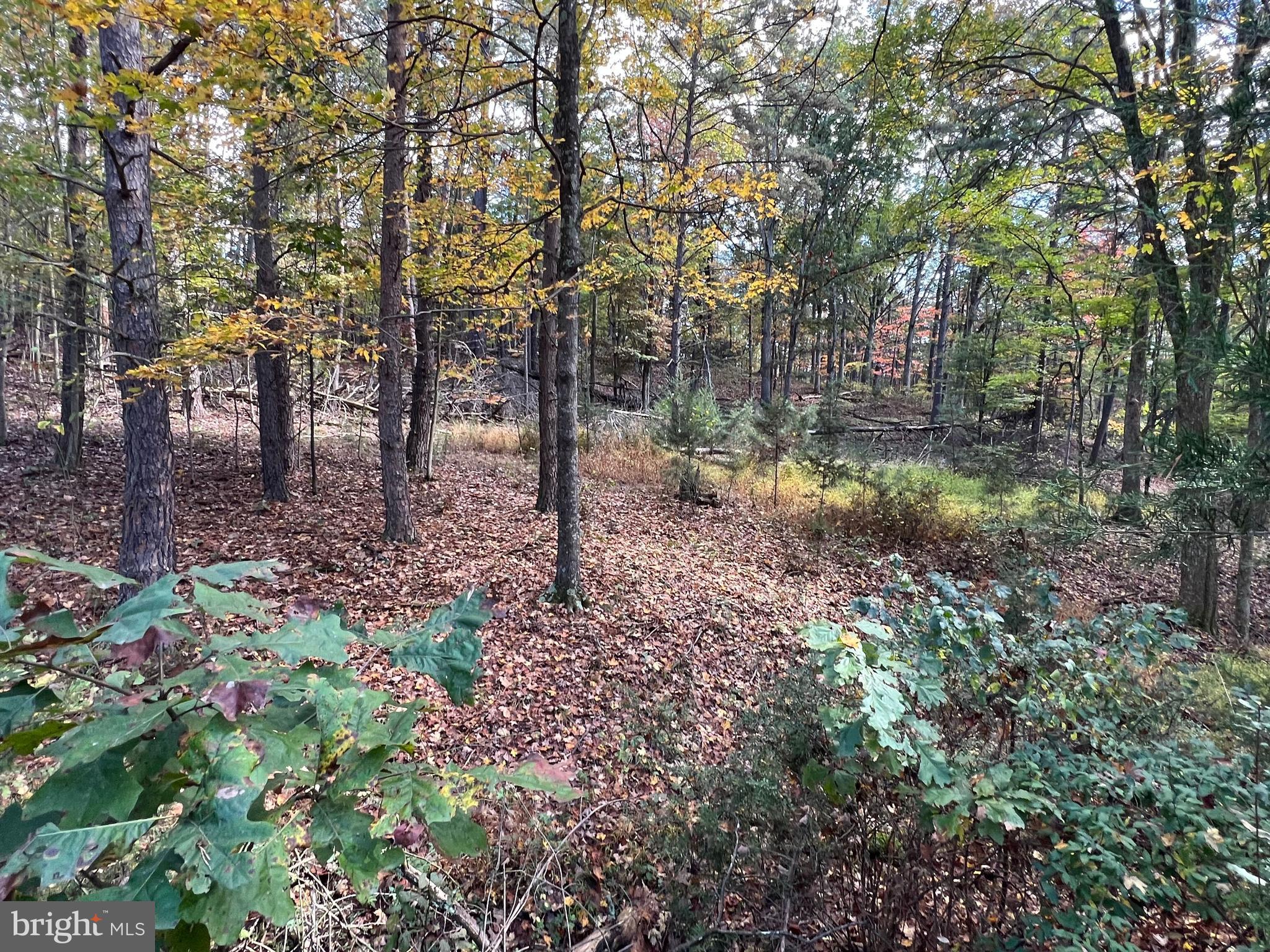 Lot 6 Deep Run Hollow Road Delray, WV 26714 - Photo 18 of 18 a backyard of a house with lots of green space and chair