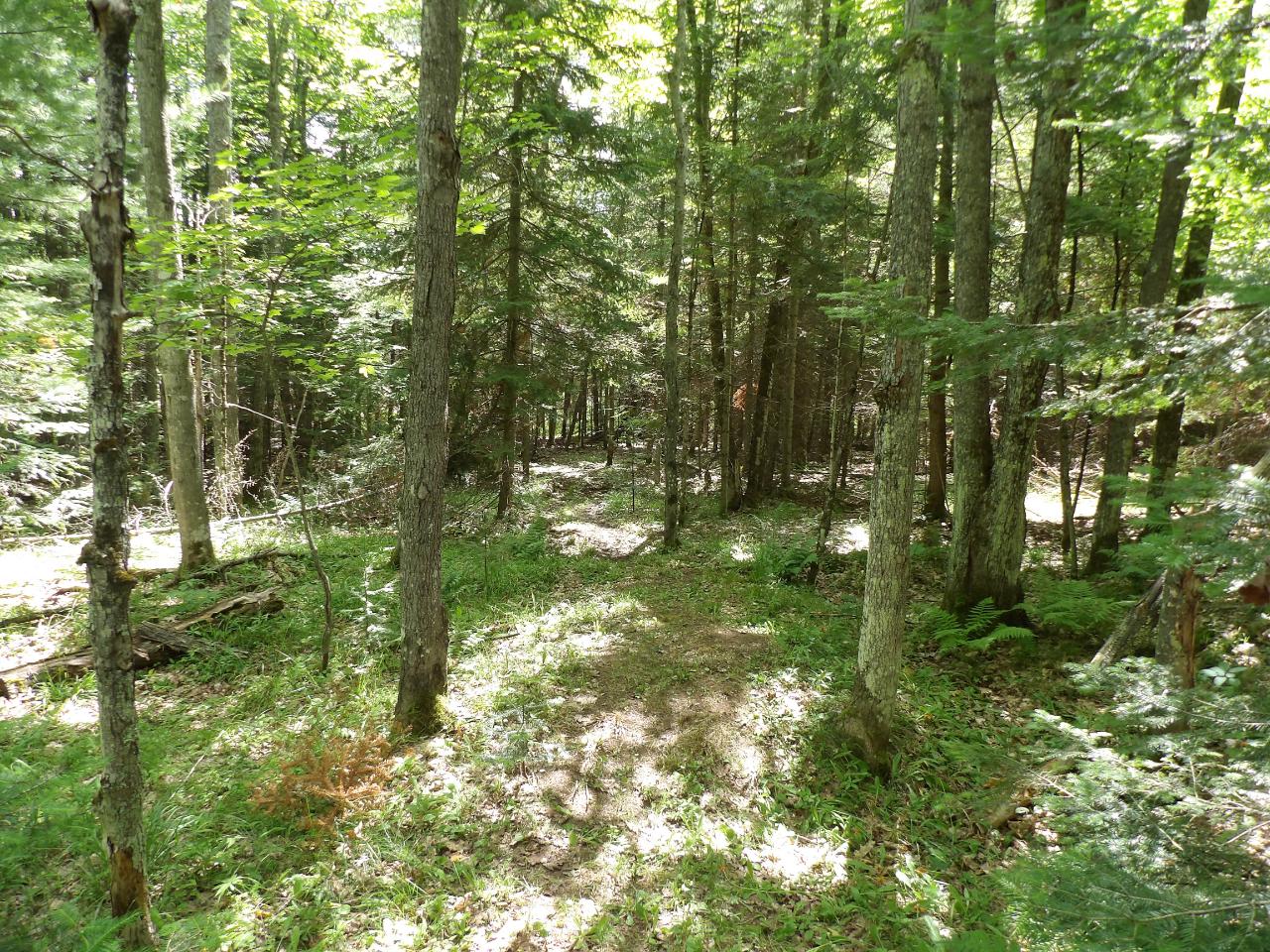 9950 Mud Lake Road Presque Isle, WI 54557 - Photo 30 of 37 Gallery Image 30