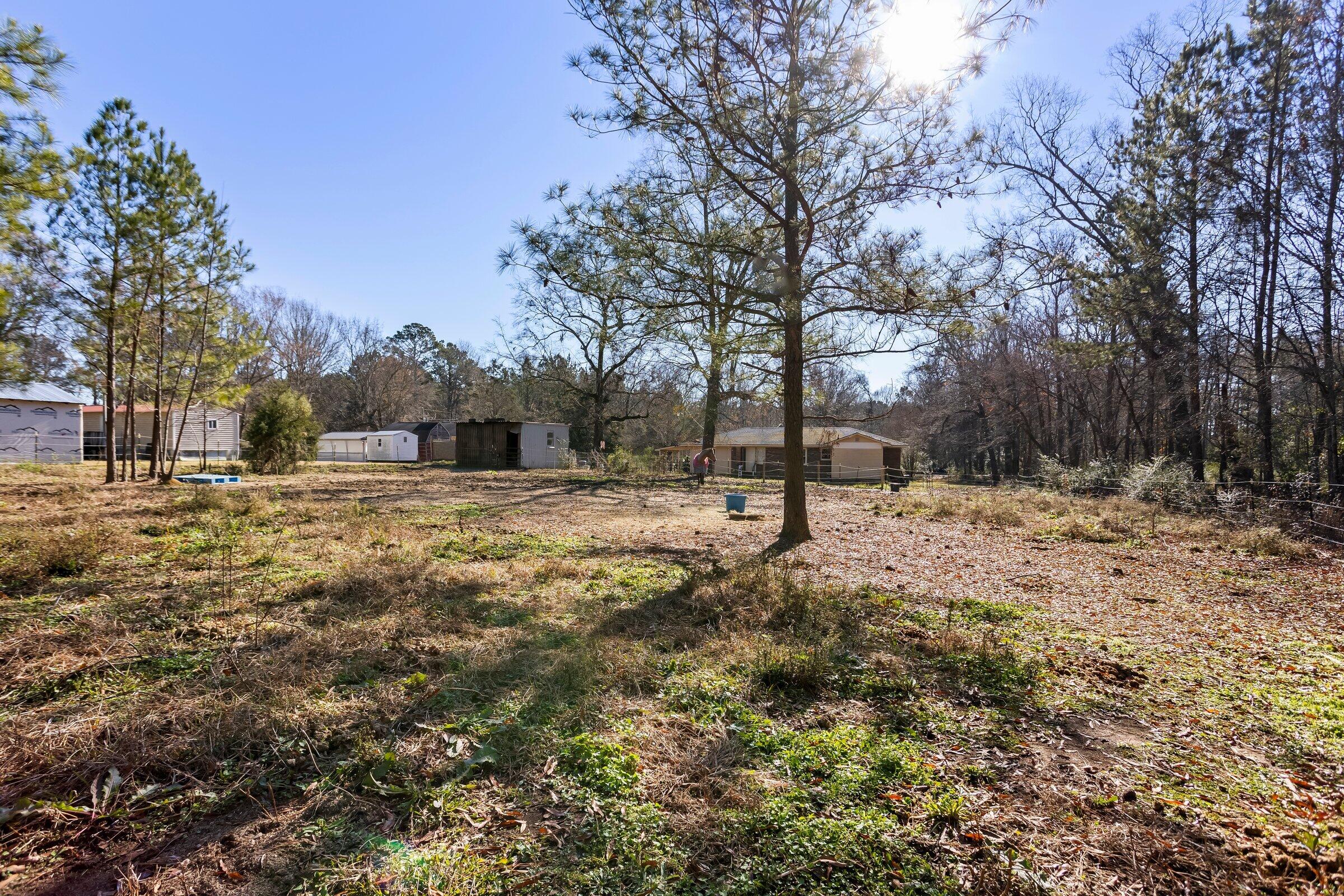 1723 Butler Road Saluda, SC 29138 - Photo 25 of 28