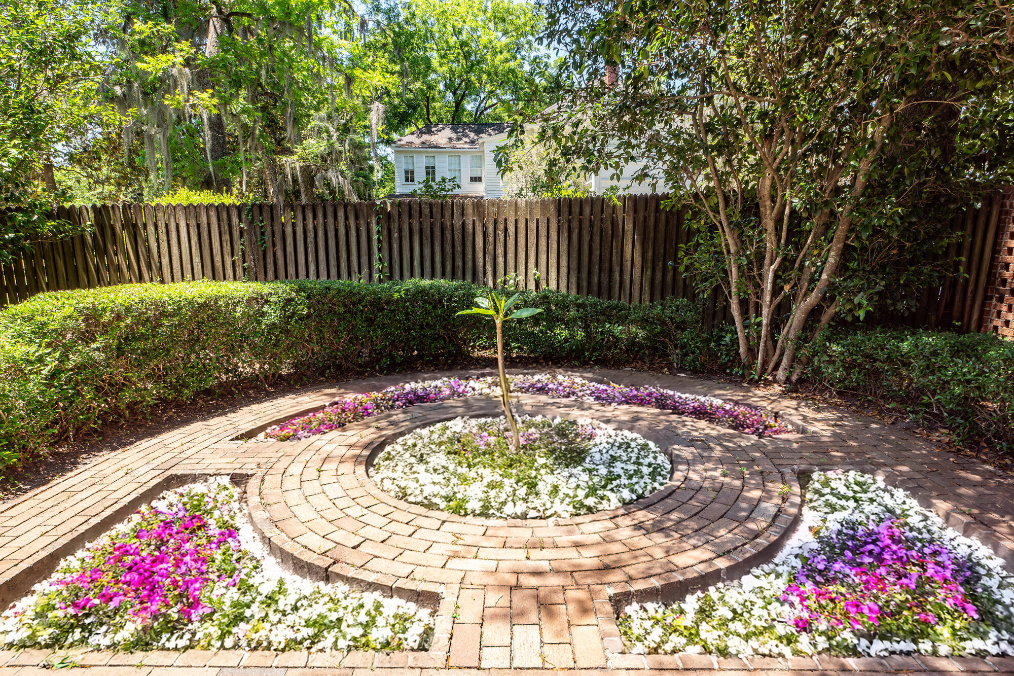 458 Hampton Street Walterboro, SC 29488 - Photo 81 of 90 139_flowers 3