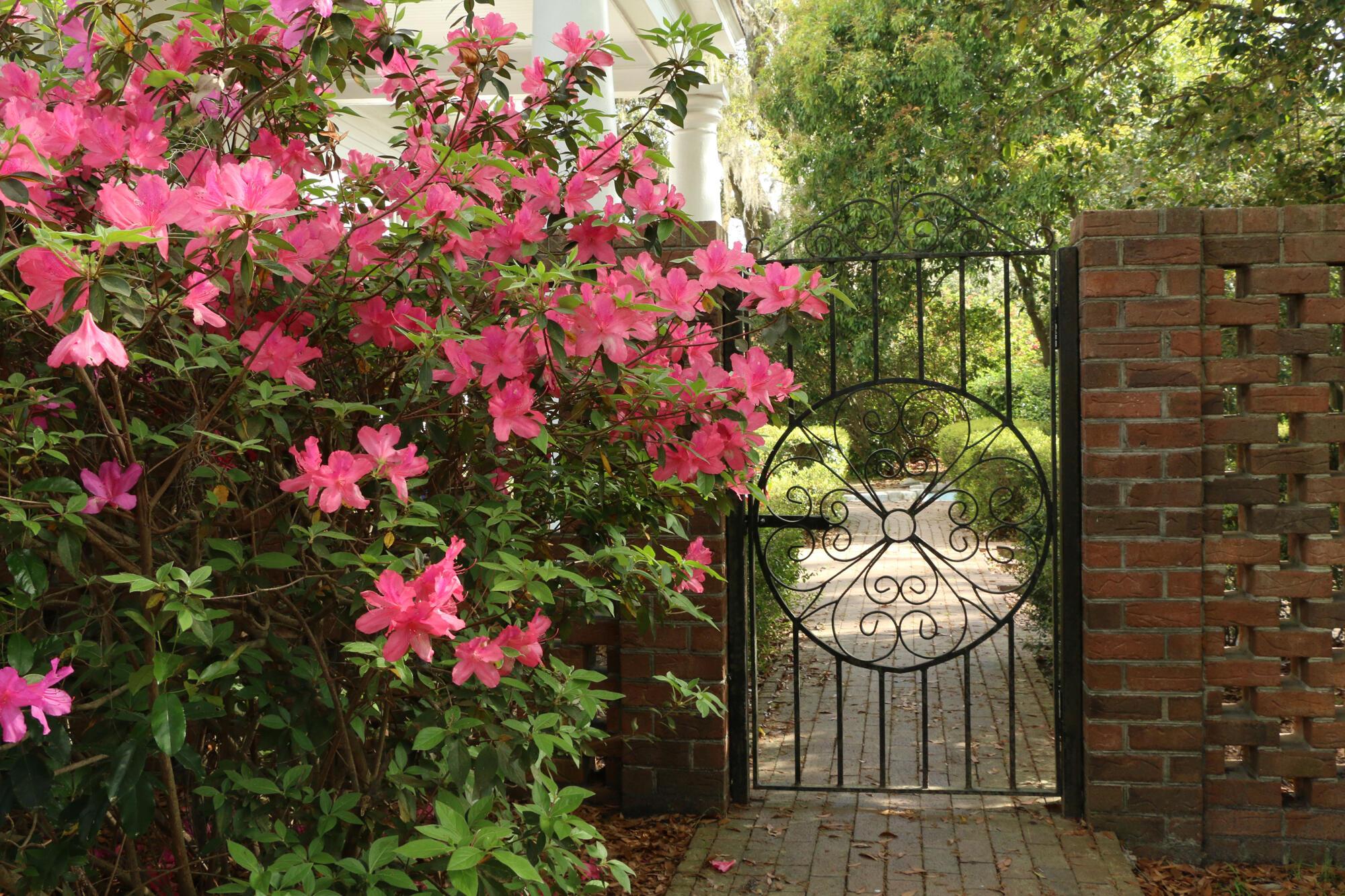 458 Hampton Street Walterboro, SC 29488 - Photo 82 of 90 157