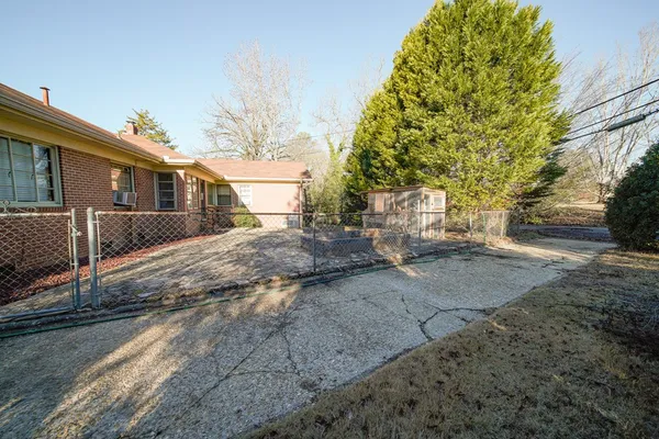 a view of a yard with a large tree