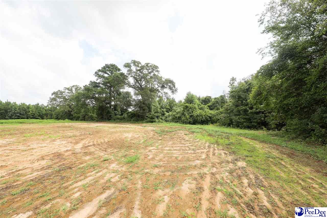 26-acres Una Road Lamar, SC 29069 - Photo 6 of 14 Gallery Image 6