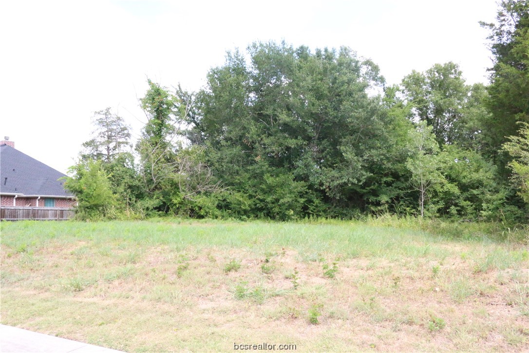 2105 Cids Lane Bryan, TX 77807 - Photo 2 of 8 a view of a garden with a lake