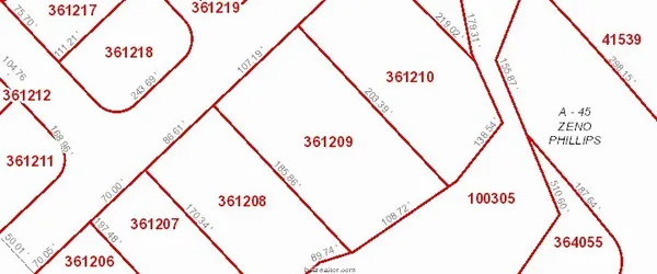 a view of a lush green forest