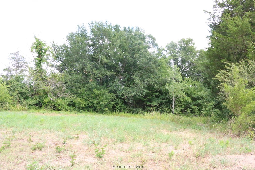 2105 Cids Lane Bryan, TX 77807 - Photo 8 of 8 a view of a garden with a tree