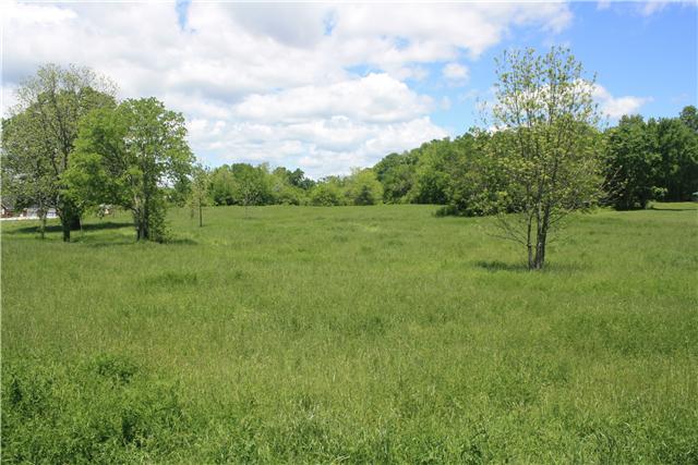 1 Ed McCormack Road Prospect, TN 38477 - Photo 1 of 5 a view of field with trees in the background