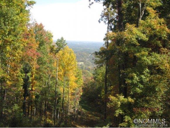 Lot 2104 Harm Creek Loop Mill Spring Mill Spring, NC 28756 - Photo 5 of 18 a view of a city
