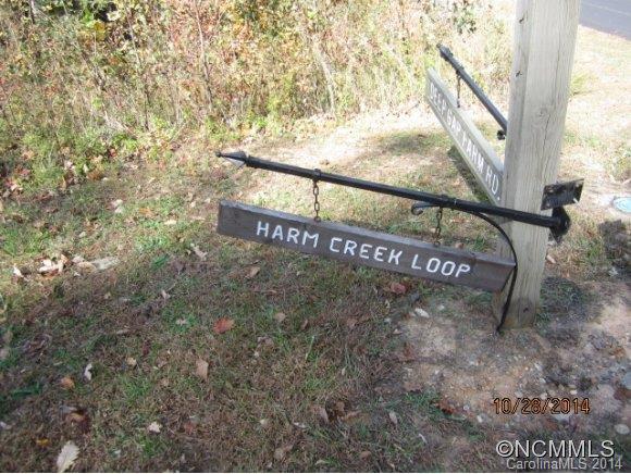 Lot 2104 Harm Creek Loop Mill Spring Mill Spring, NC 28756 - Photo 9 of 18 a view of a street sign