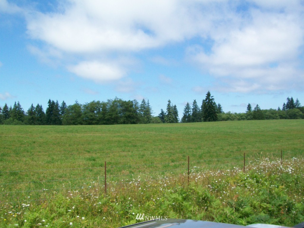 -lot G Lot G Burnt Ridge Road Onalaska, WA 98570 - Photo 2 of 2 Gallery Image 2