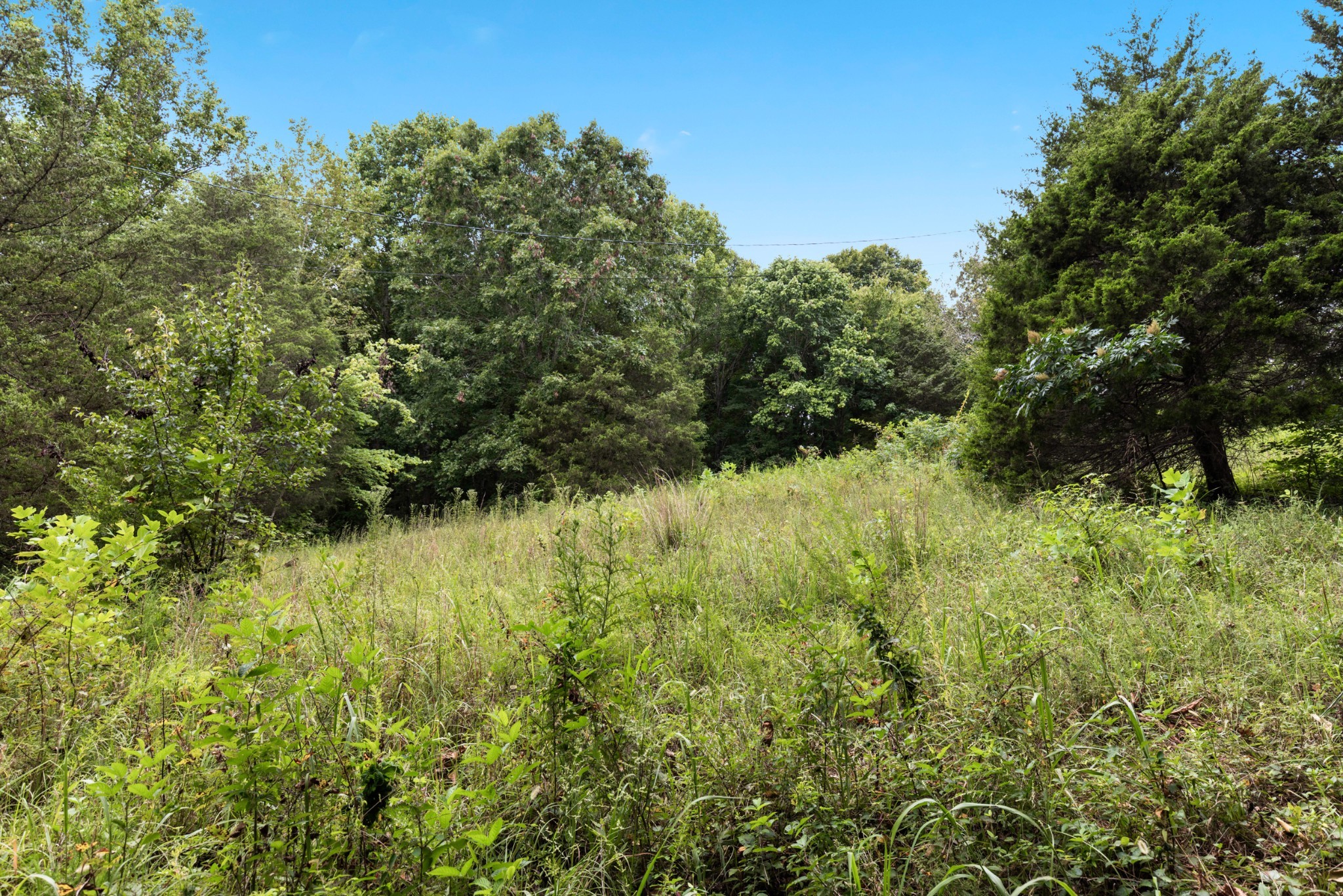 2294 Daniels Road Greenbrier, TN 37073 - Photo 49 of 52 a view of a garden