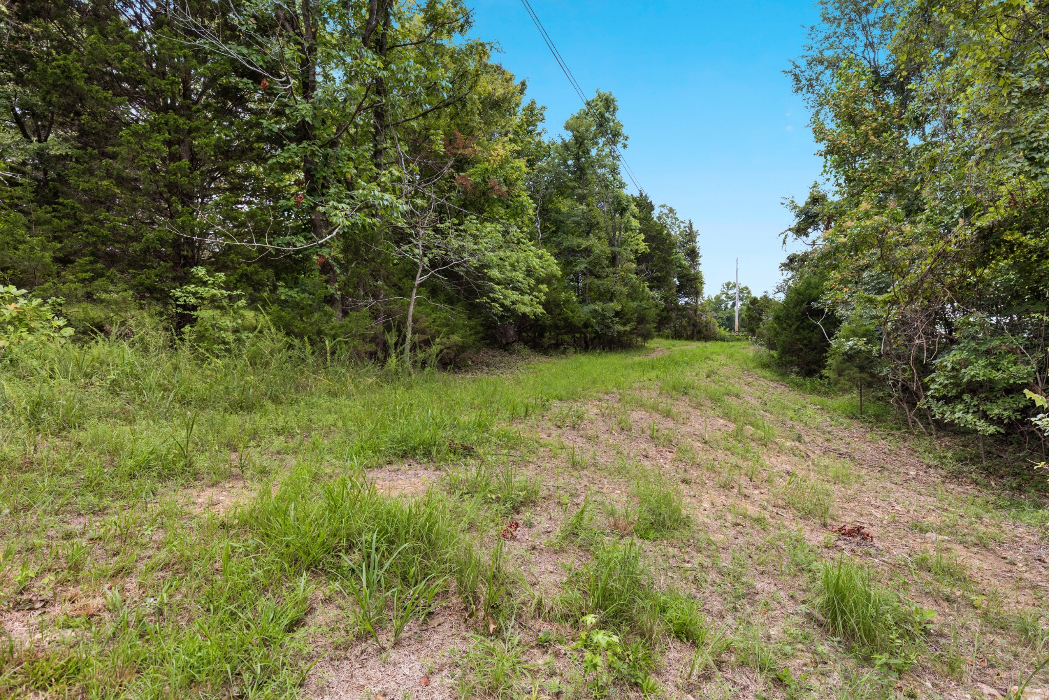 2294 Daniels Road Greenbrier, TN 37073 - Photo 50 of 52 a view of a green field with lots of bushes