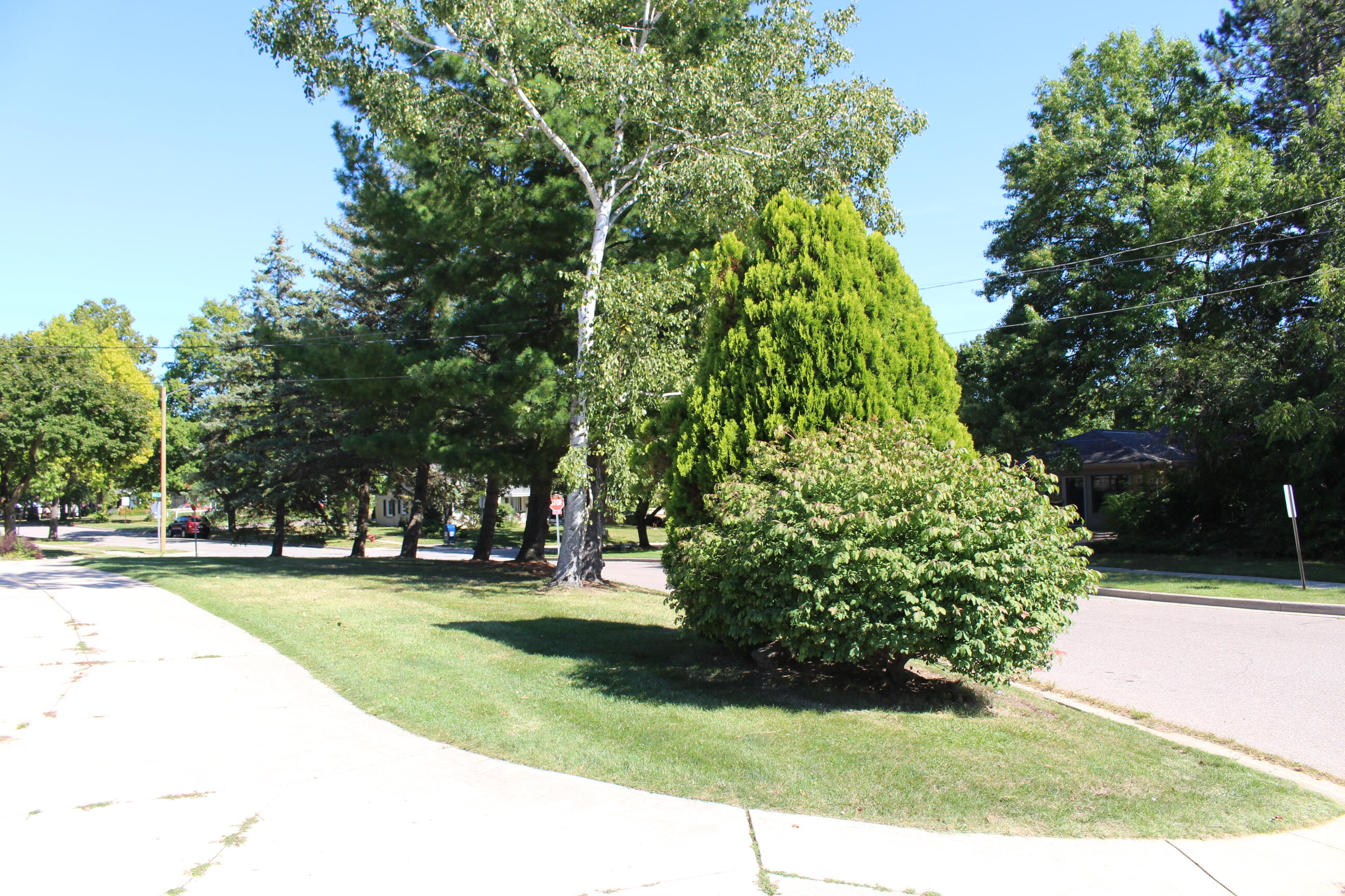 305 Mills Road Saline, MI 48176 - Photo 86 of 88 IMG_0087