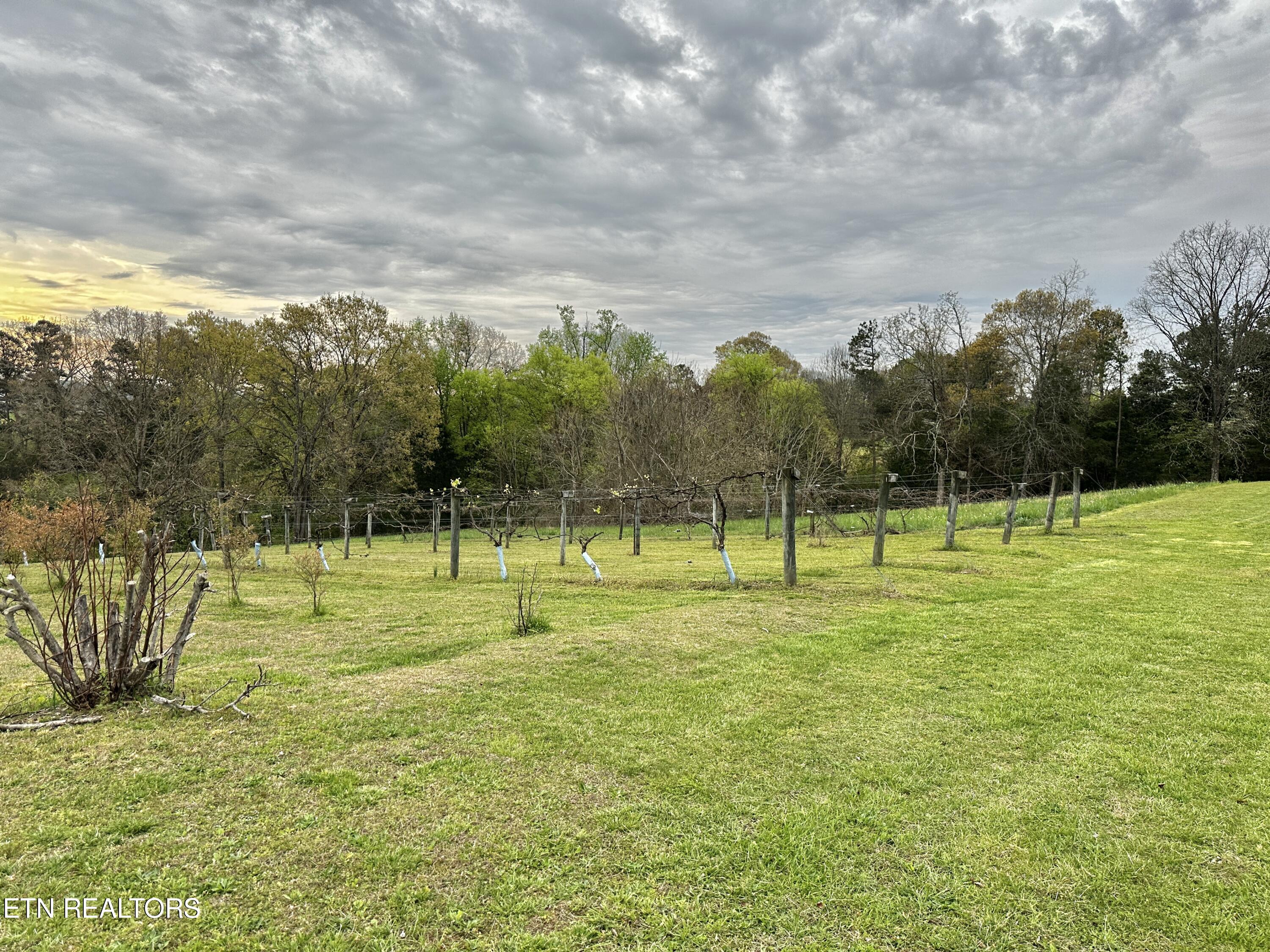 3011 Oakland Road Philadelphia, TN 37846 - Photo 23 of 27 IMG_1544