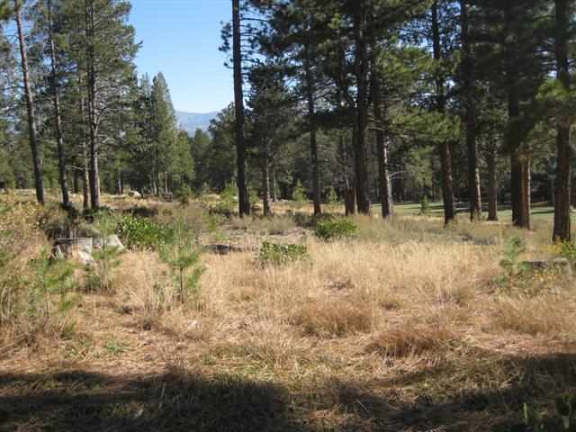 W-19 Ghirard Road Truckee, CA 96161 - Photo 4 of 5 Gallery Image 4