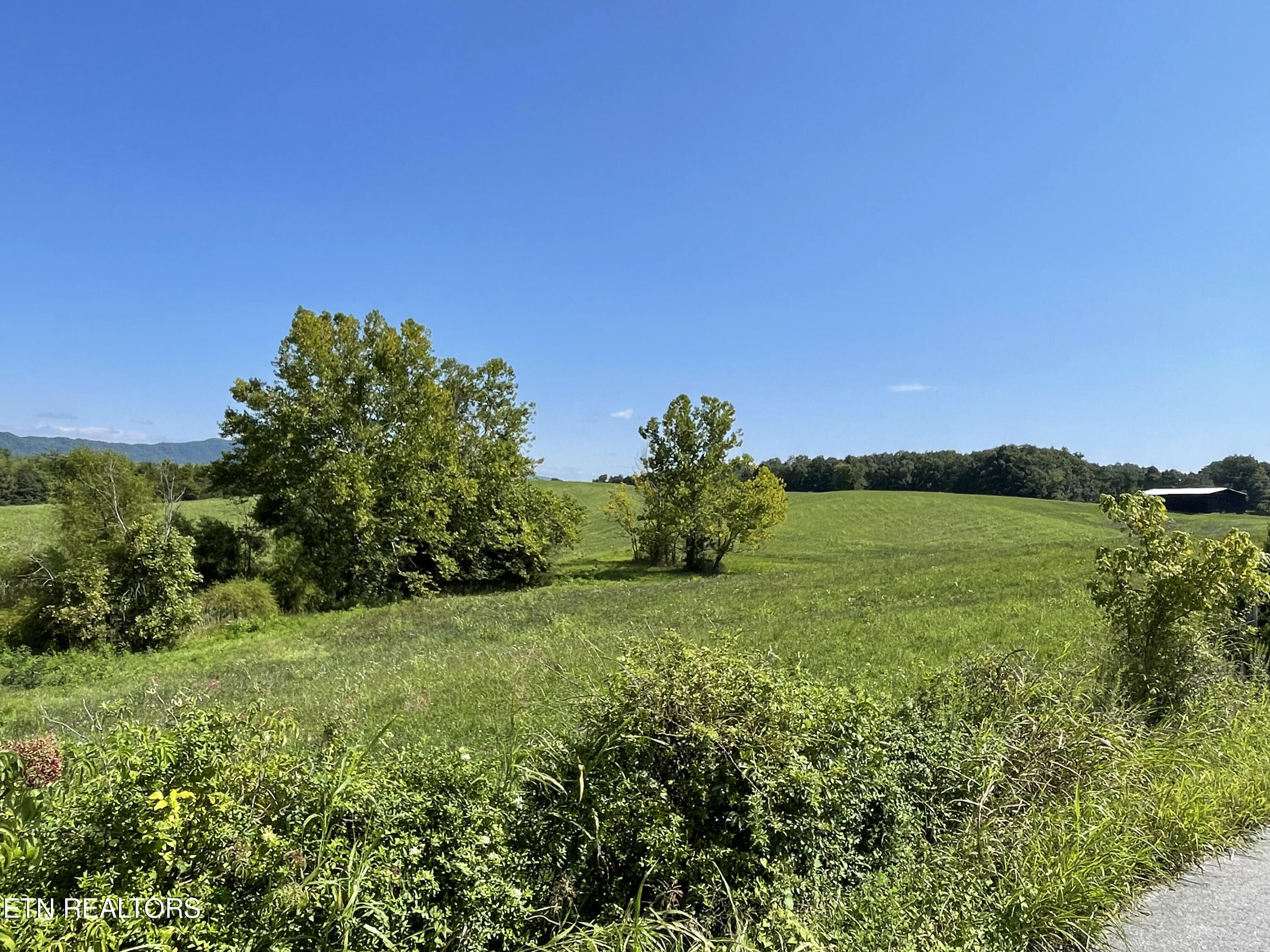 2205 Flatwoods Road Mosheim, TN 37818 - Photo 13 of 21 IMG_3380