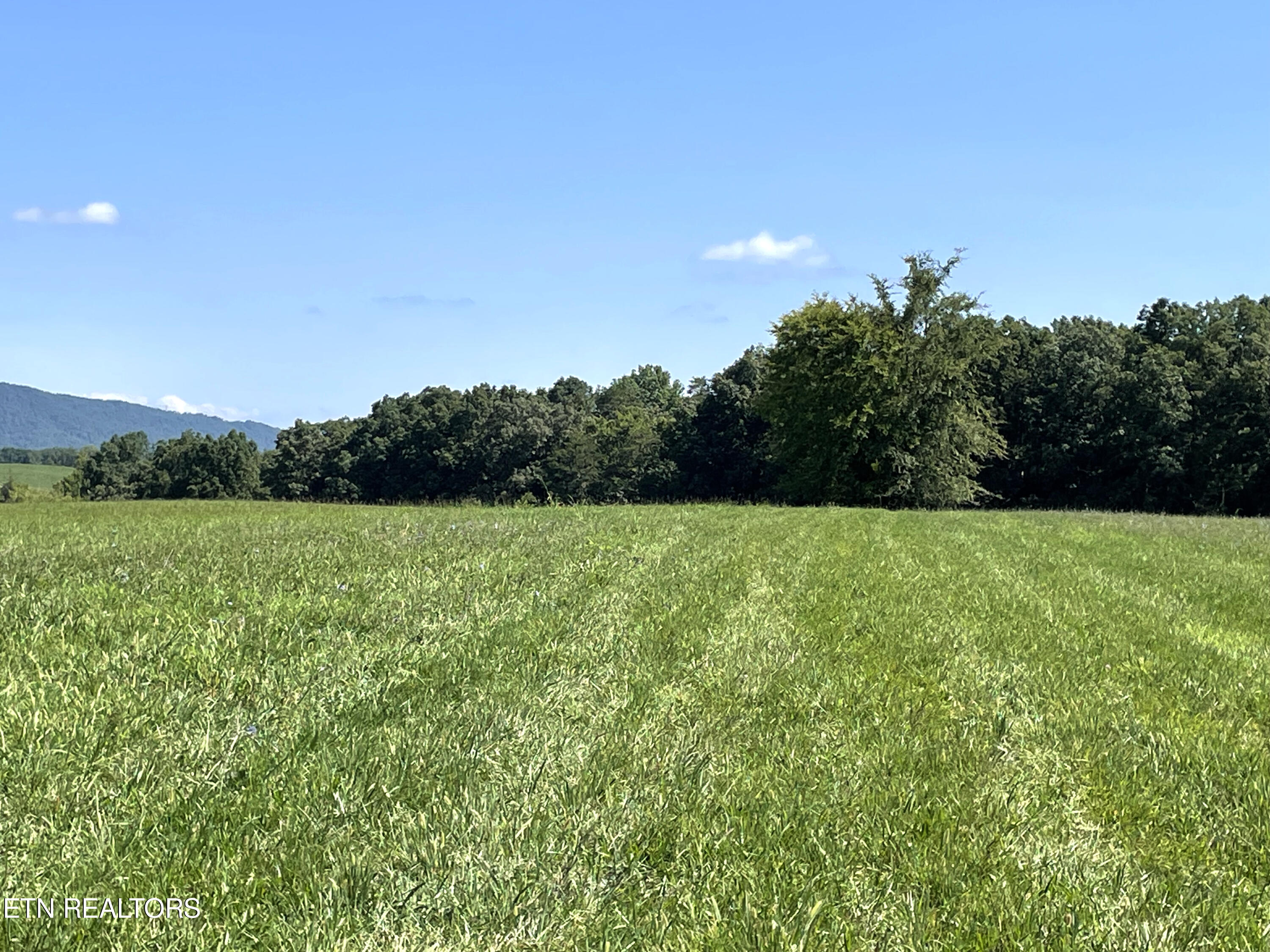 2205 Flatwoods Road Mosheim, TN 37818 - Photo 15 of 21 IMG_3382