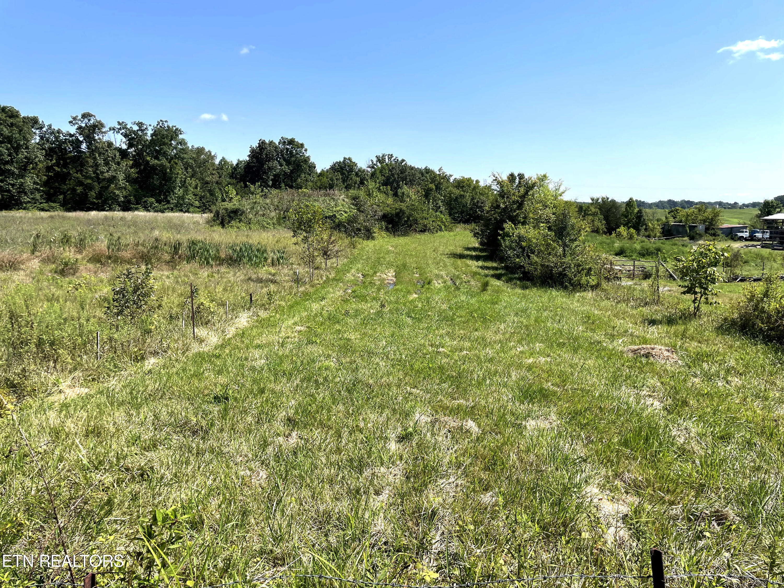 2205 Flatwoods Road Mosheim, TN 37818 - Photo 17 of 21 IMG_3386