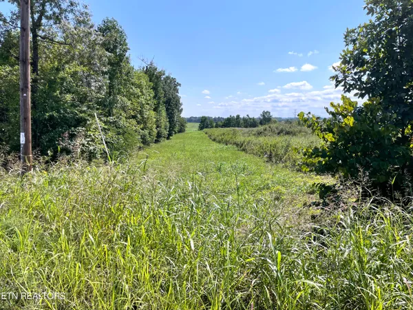 $3,399,999 | 2205 Flatwoods Road, Mosheim, TN 37818