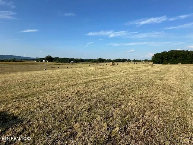 $3,399,999 | 2205 Flatwoods Road, Mosheim, TN 37818