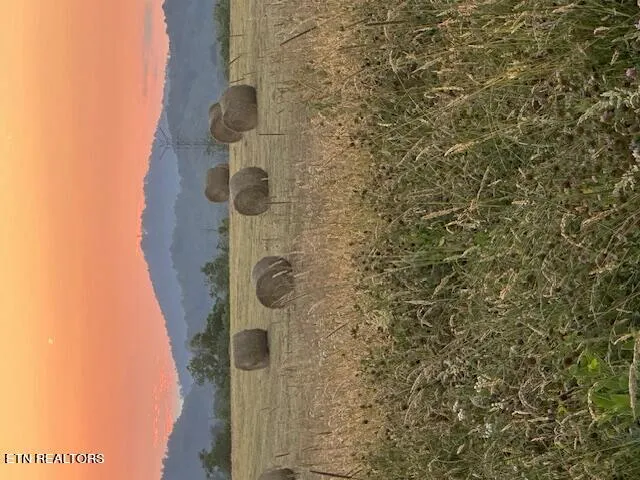 $3,399,999 | 2205 Flatwoods Road, Mosheim, TN 37818