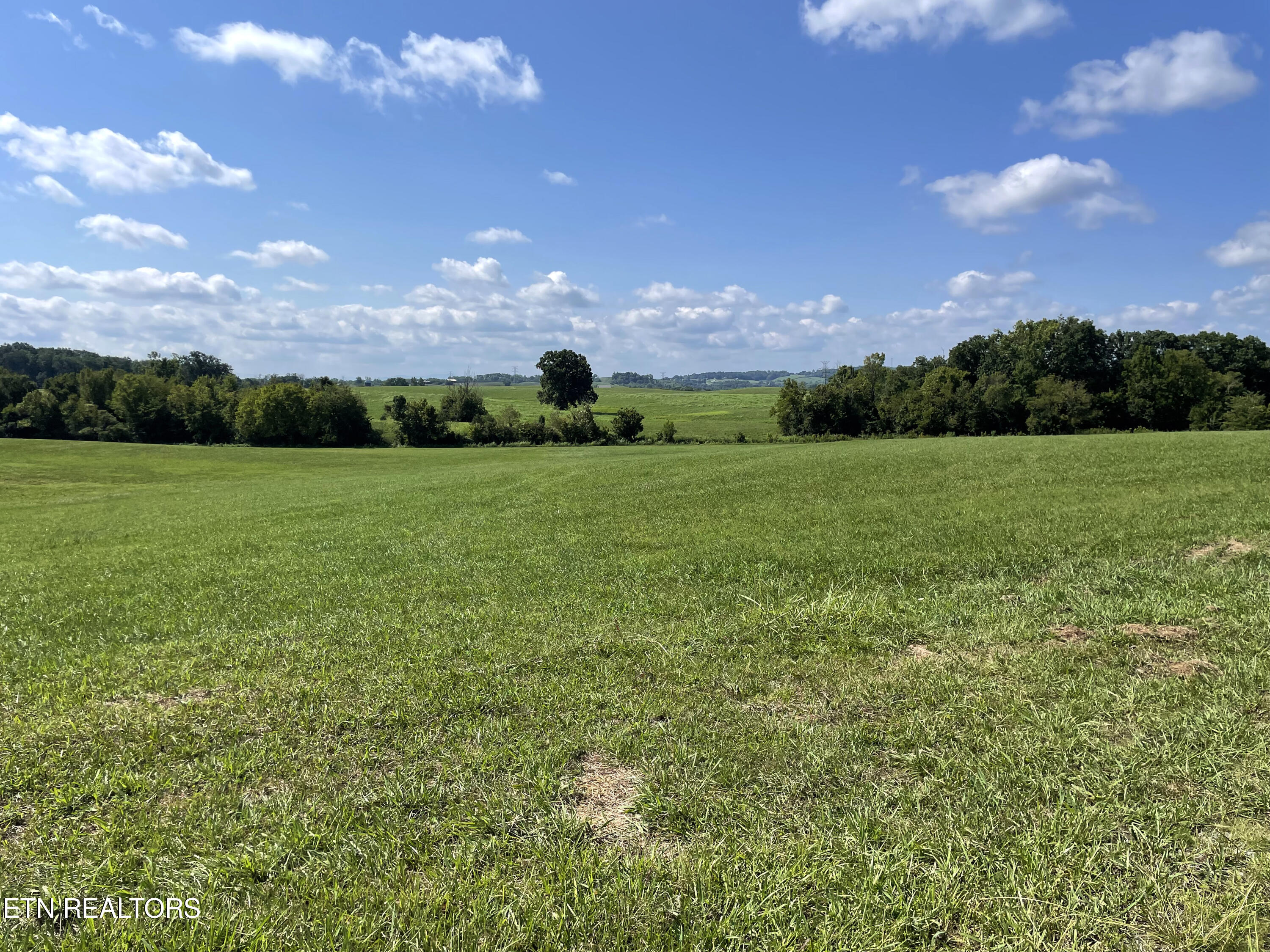 2205 Flatwoods Road Mosheim, TN 37818 - Photo 6 of 21 IMG_3372