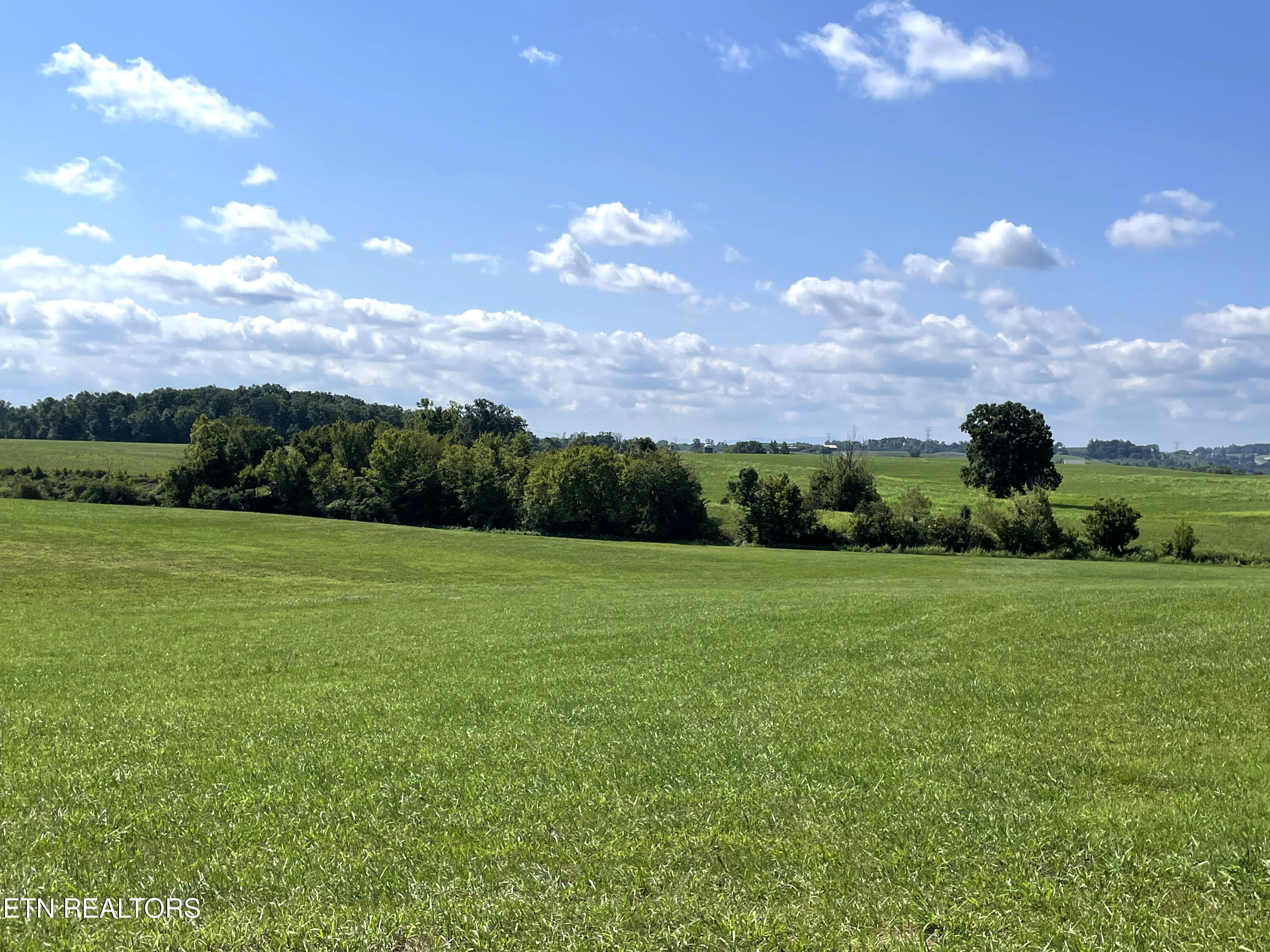 2205 Flatwoods Road Mosheim, TN 37818 - Photo 8 of 21 IMG_3375