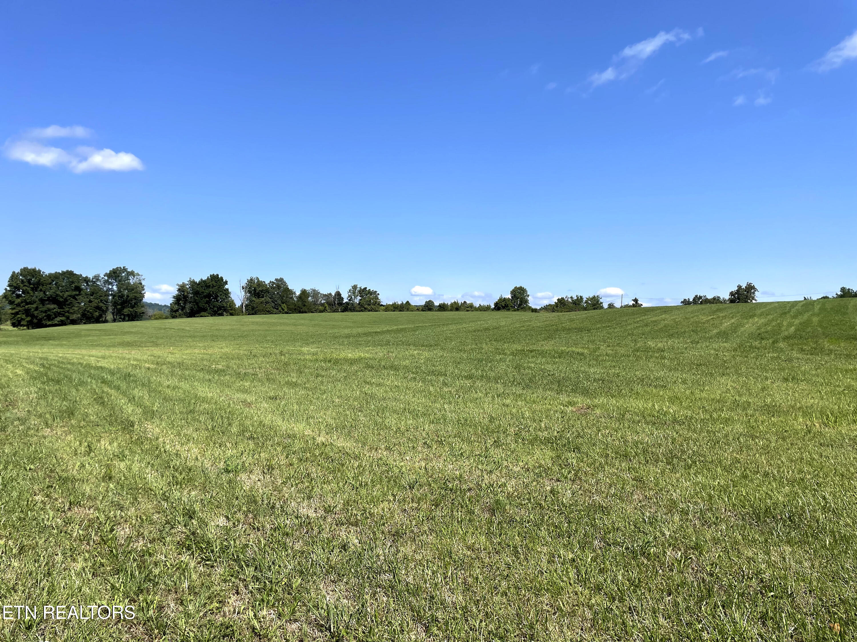 2205 Flatwoods Road Mosheim, TN 37818 - Photo 9 of 21 IMG_3376