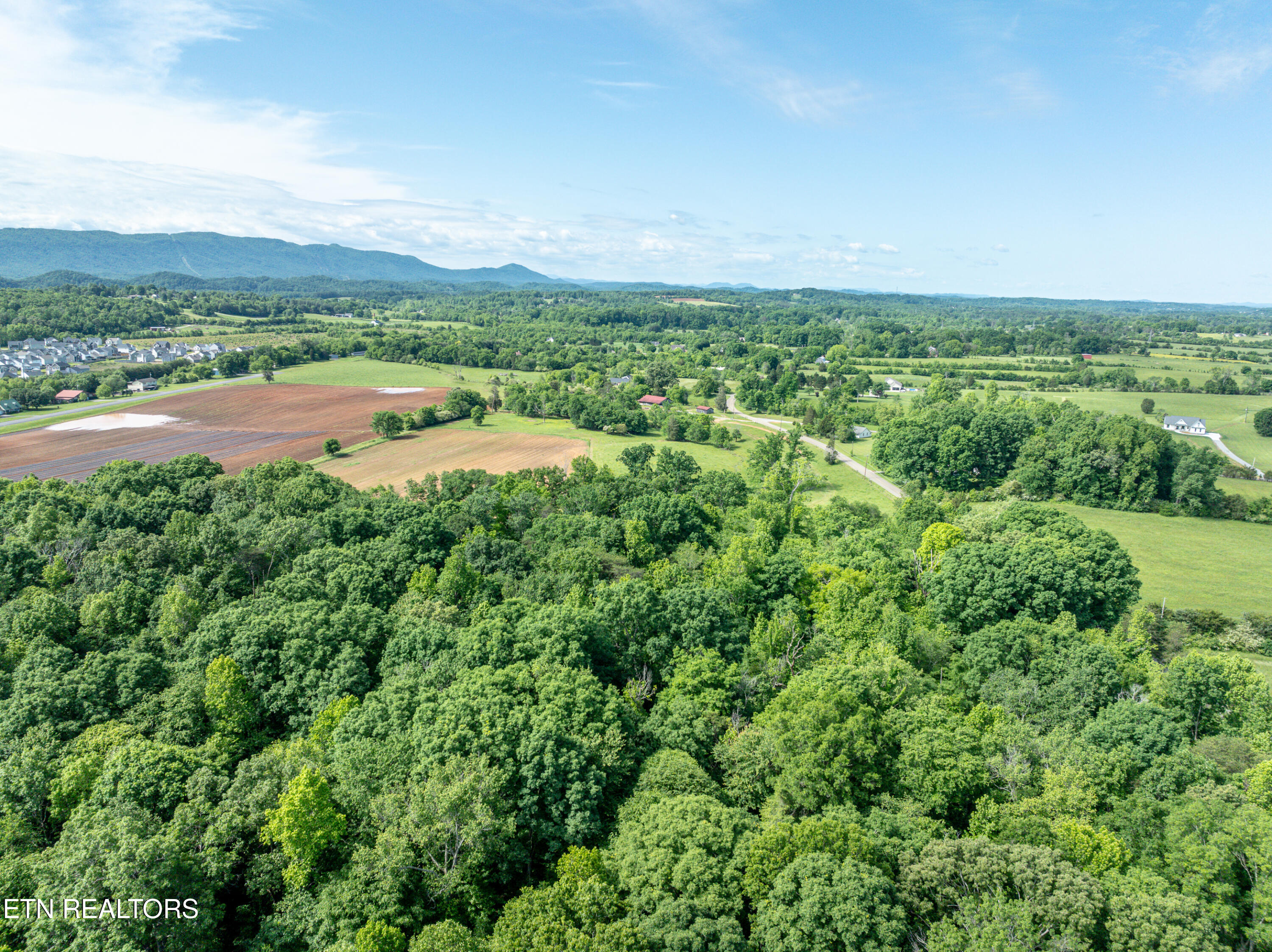 2738 Carpenters Grade Road Maryville, TN 37803 - Photo 4 of 7 DSC_3779-7